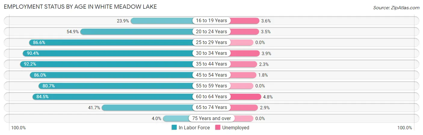 Employment Status by Age in White Meadow Lake