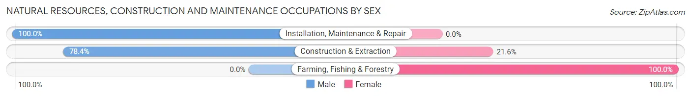 Natural Resources, Construction and Maintenance Occupations by Sex in White Meadow Lake