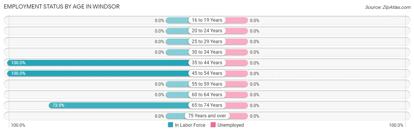 Employment Status by Age in Windsor