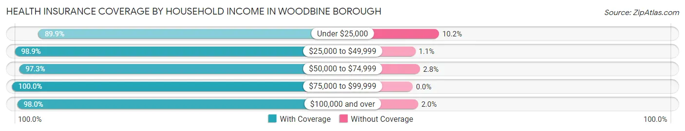 Health Insurance Coverage by Household Income in Woodbine borough