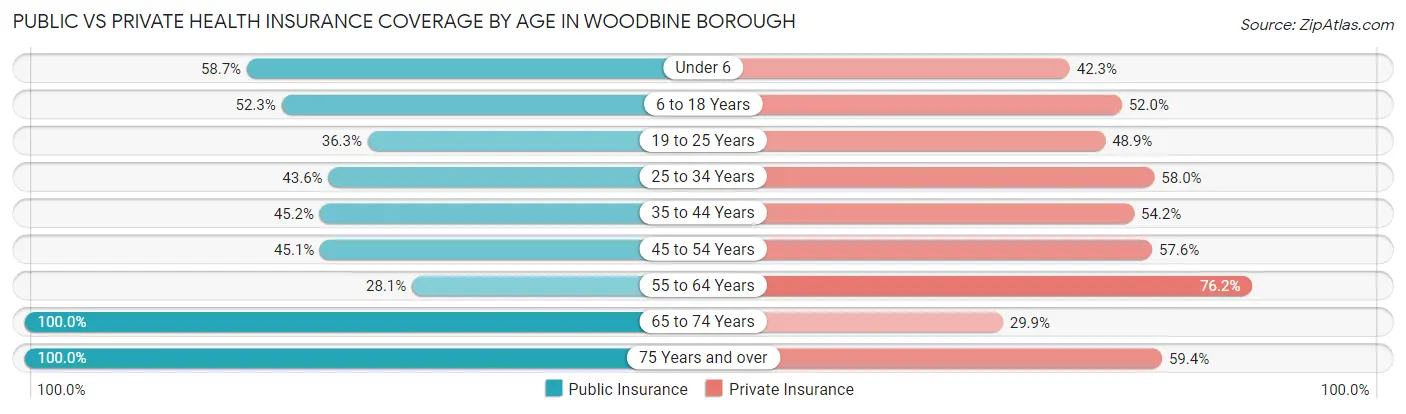 Public vs Private Health Insurance Coverage by Age in Woodbine borough