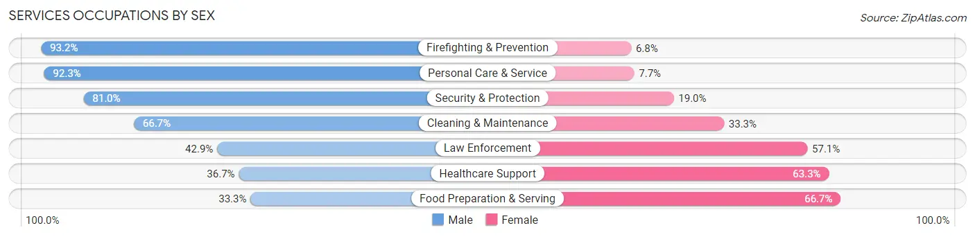 Services Occupations by Sex in Woodbine borough