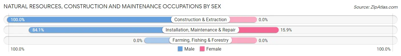 Natural Resources, Construction and Maintenance Occupations by Sex in Woodbury Heights borough