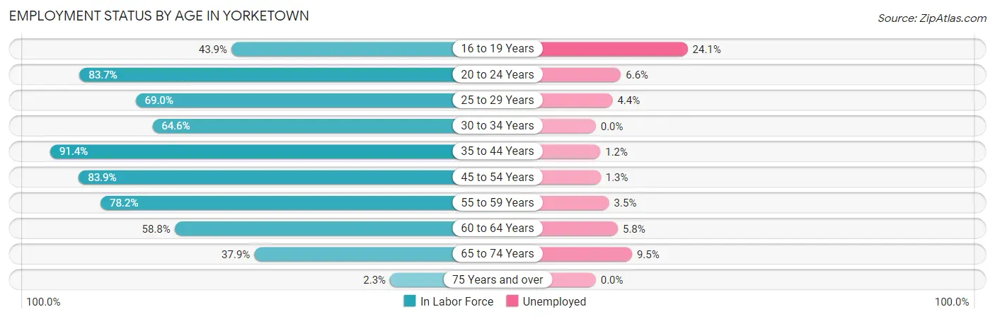 Employment Status by Age in Yorketown