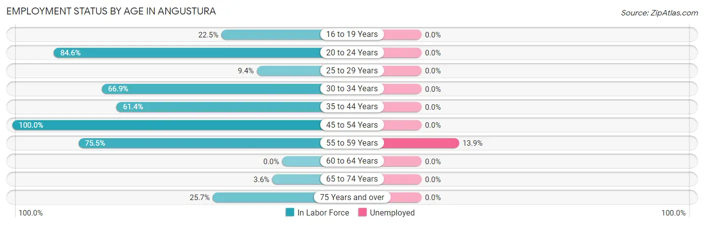 Employment Status by Age in Angustura