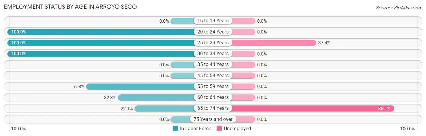 Employment Status by Age in Arroyo Seco