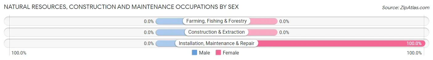 Natural Resources, Construction and Maintenance Occupations by Sex in Arroyo Seco