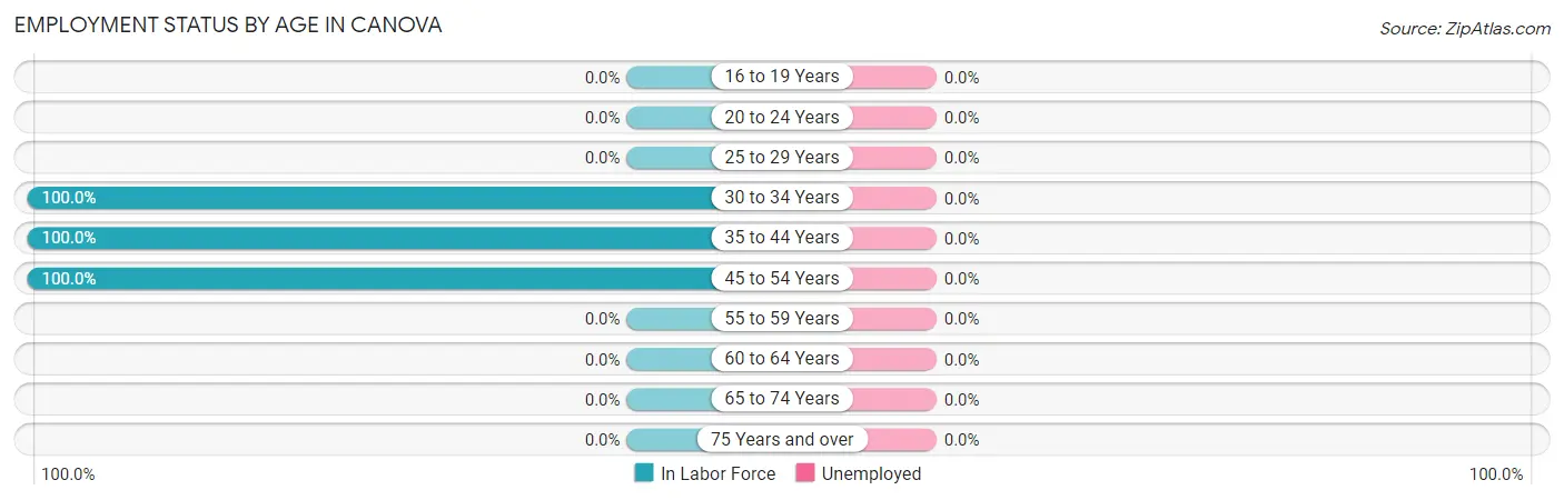 Employment Status by Age in Canova