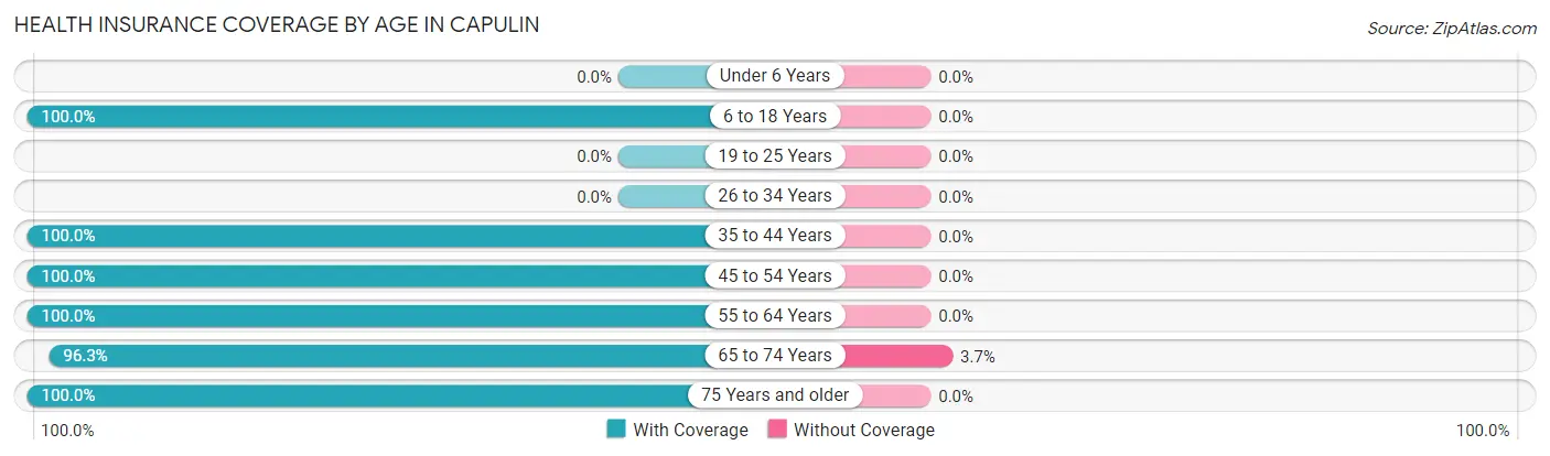 Health Insurance Coverage by Age in Capulin