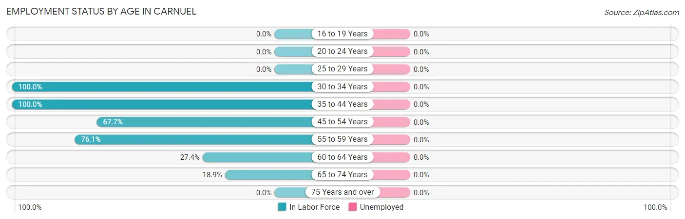 Employment Status by Age in Carnuel