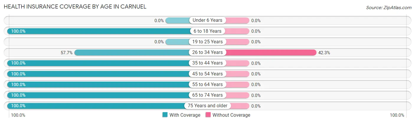 Health Insurance Coverage by Age in Carnuel