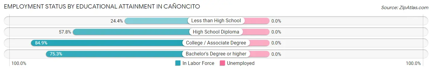 Employment Status by Educational Attainment in Cañoncito