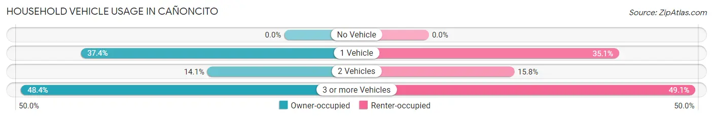 Household Vehicle Usage in Cañoncito