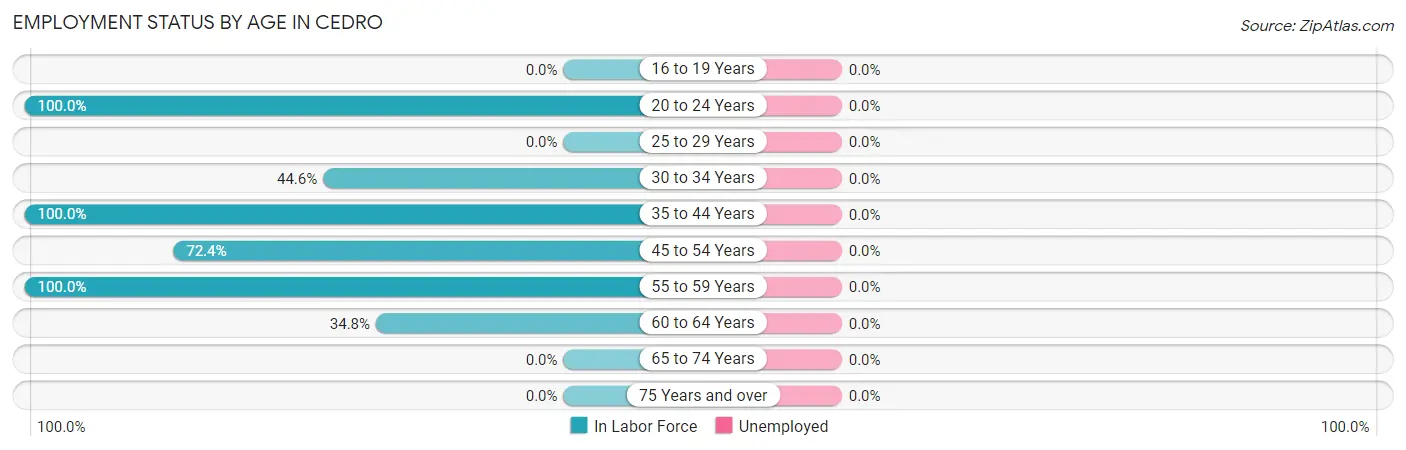 Employment Status by Age in Cedro