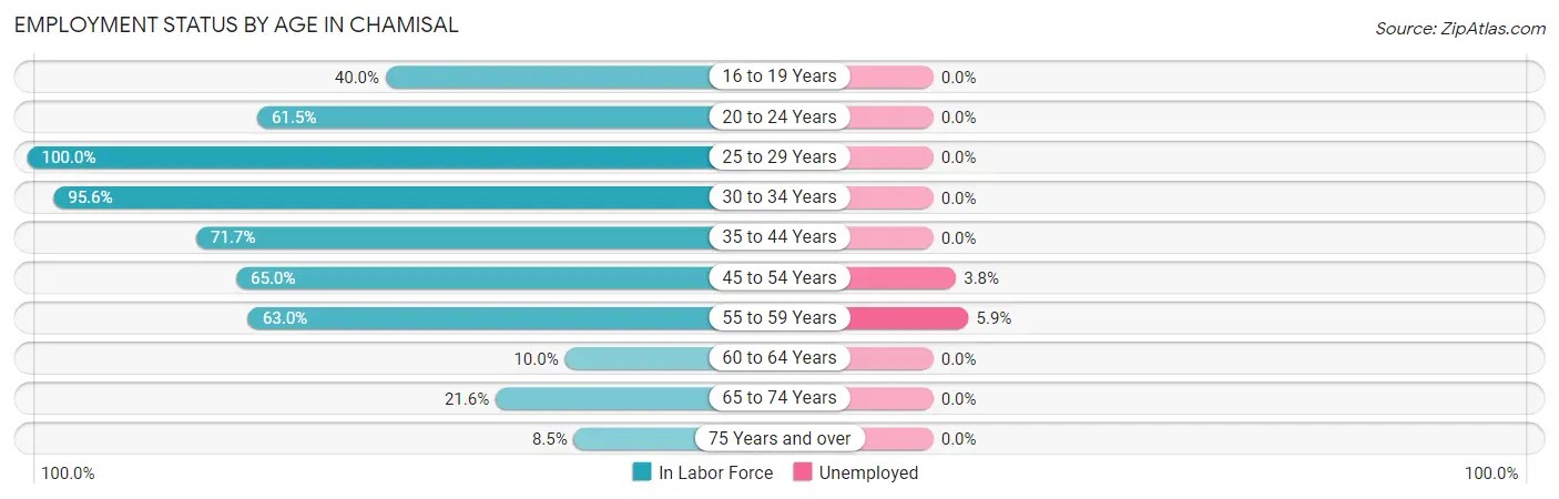Employment Status by Age in Chamisal