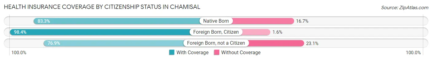 Health Insurance Coverage by Citizenship Status in Chamisal