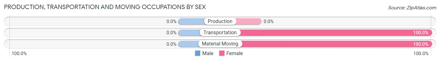 Production, Transportation and Moving Occupations by Sex in Chamisal