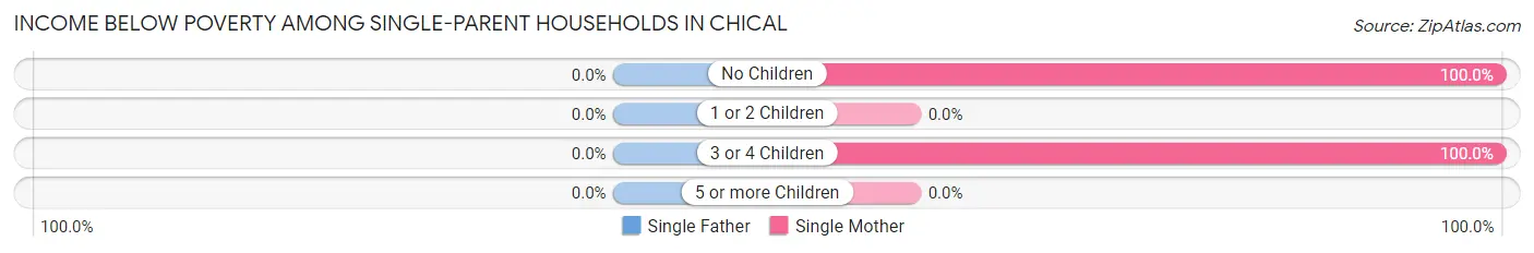 Income Below Poverty Among Single-Parent Households in Chical