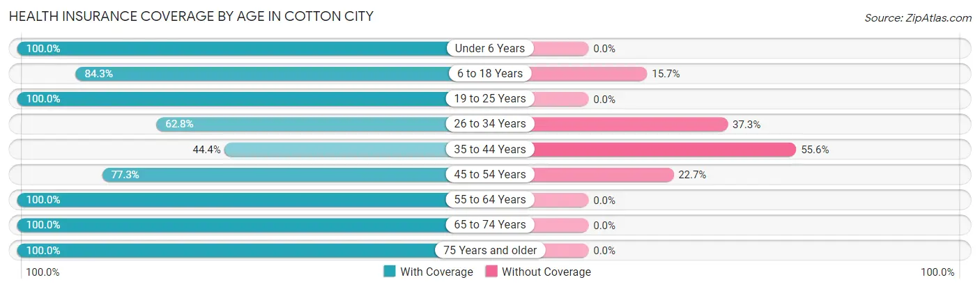 Health Insurance Coverage by Age in Cotton City