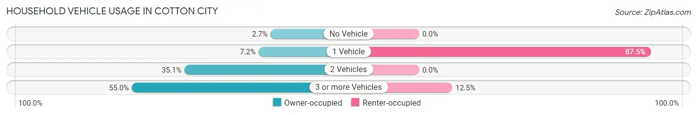 Household Vehicle Usage in Cotton City