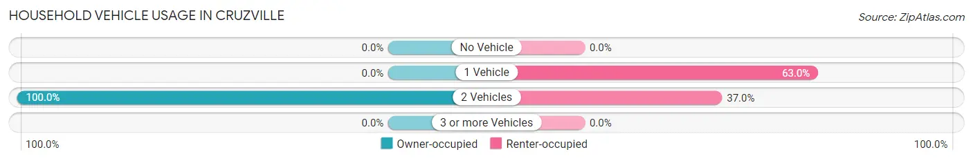 Household Vehicle Usage in Cruzville