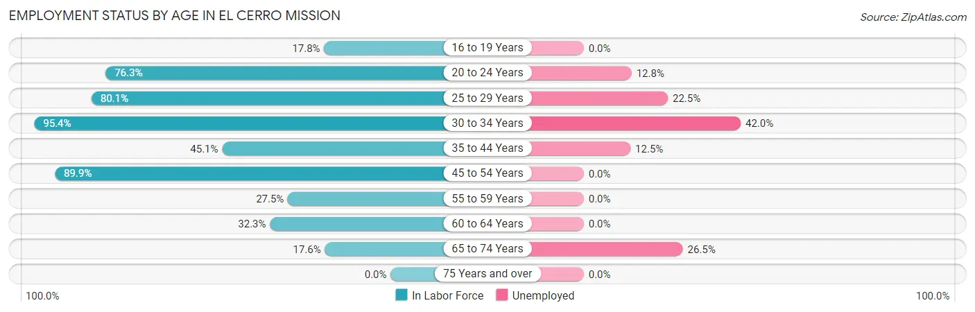 Employment Status by Age in El Cerro Mission