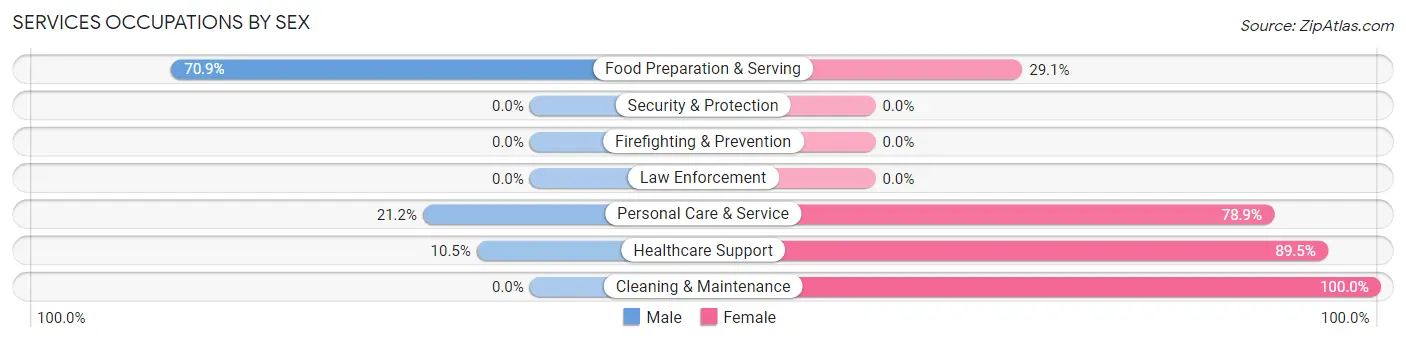 Services Occupations by Sex in El Cerro Mission