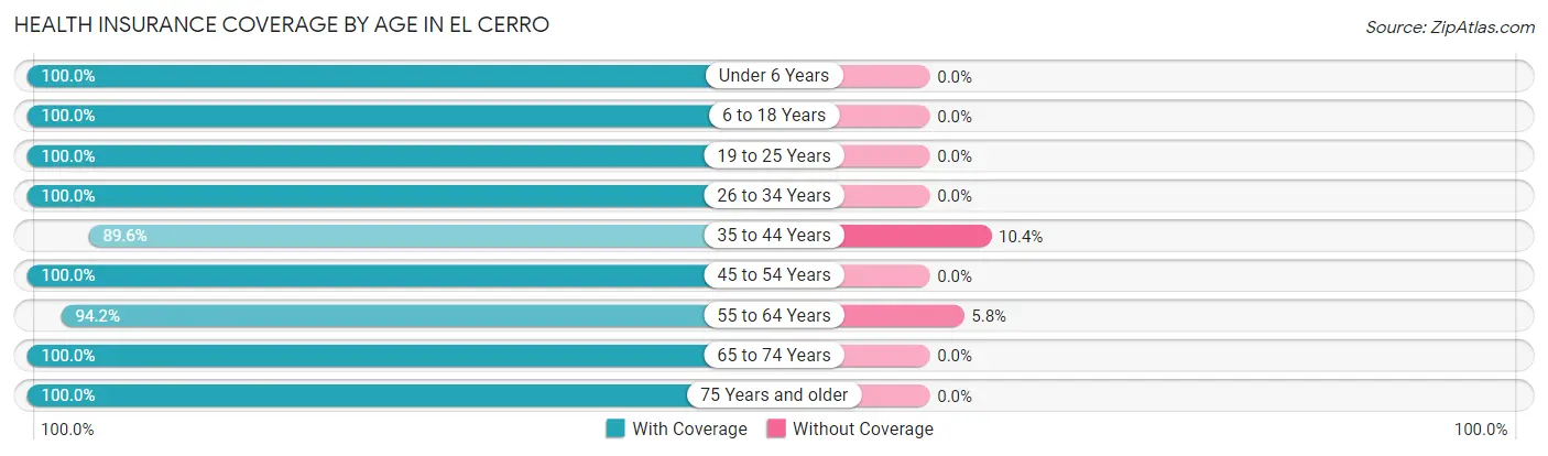 Health Insurance Coverage by Age in El Cerro