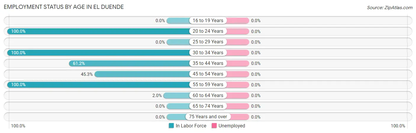 Employment Status by Age in El Duende