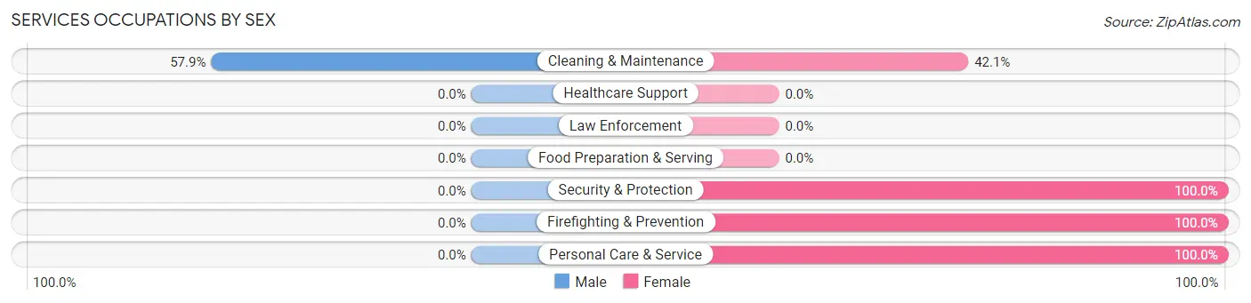Services Occupations by Sex in El Duende