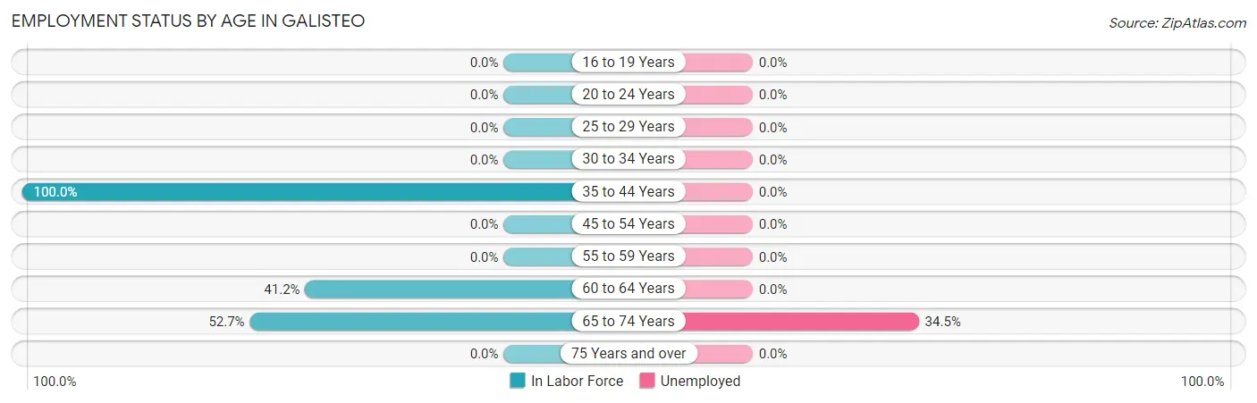 Employment Status by Age in Galisteo