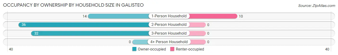 Occupancy by Ownership by Household Size in Galisteo