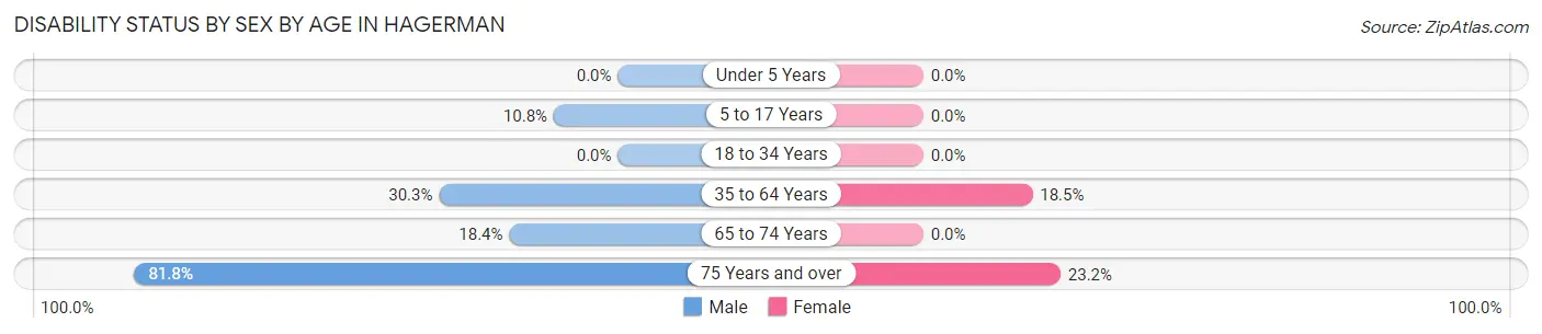 Disability Status by Sex by Age in Hagerman