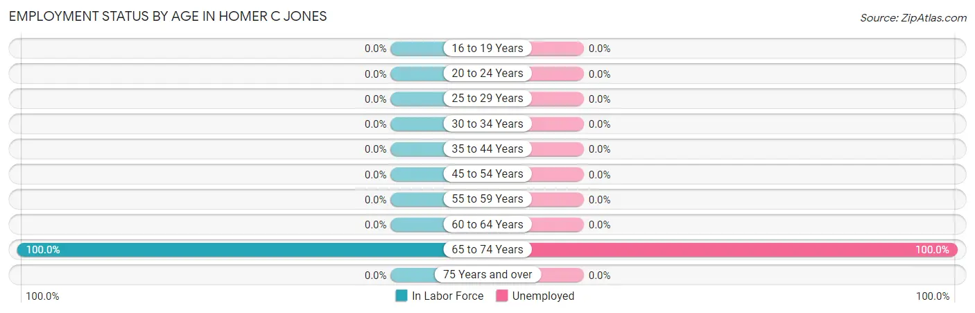 Employment Status by Age in Homer C Jones