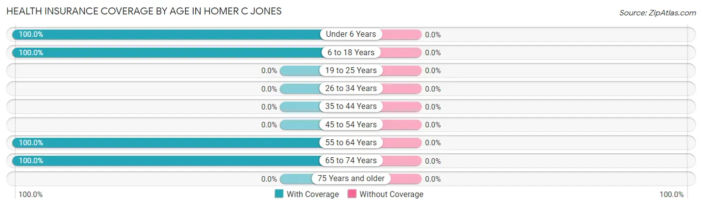 Health Insurance Coverage by Age in Homer C Jones