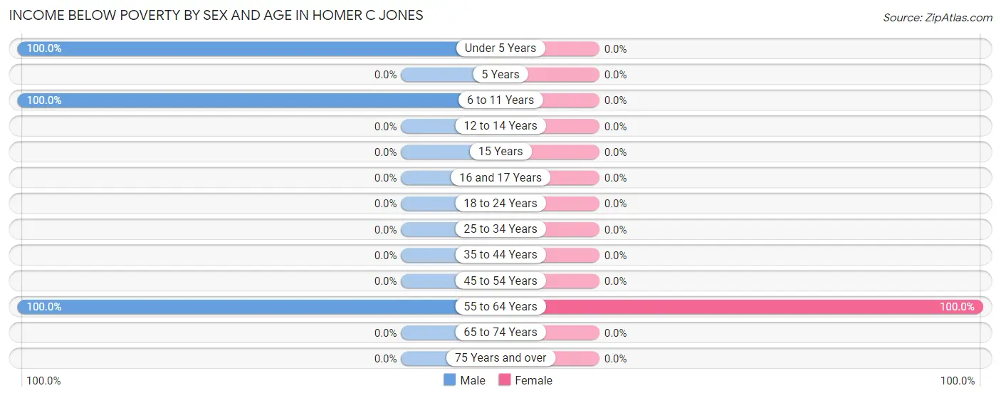 Income Below Poverty by Sex and Age in Homer C Jones