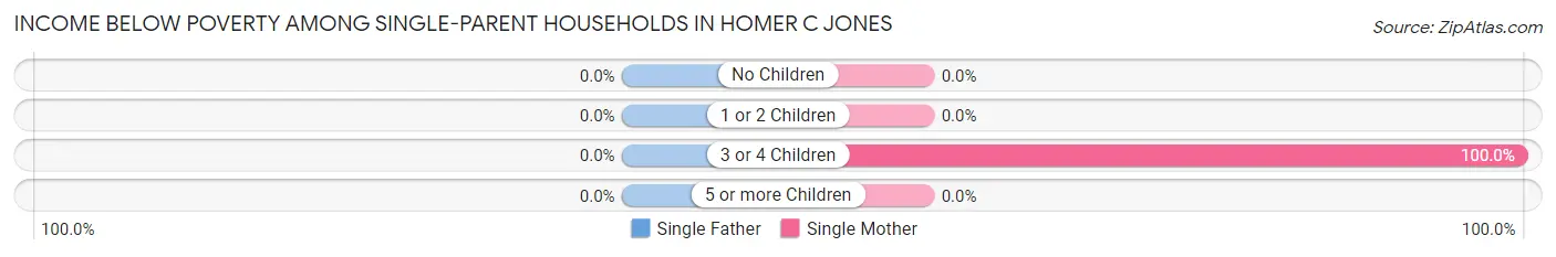 Income Below Poverty Among Single-Parent Households in Homer C Jones