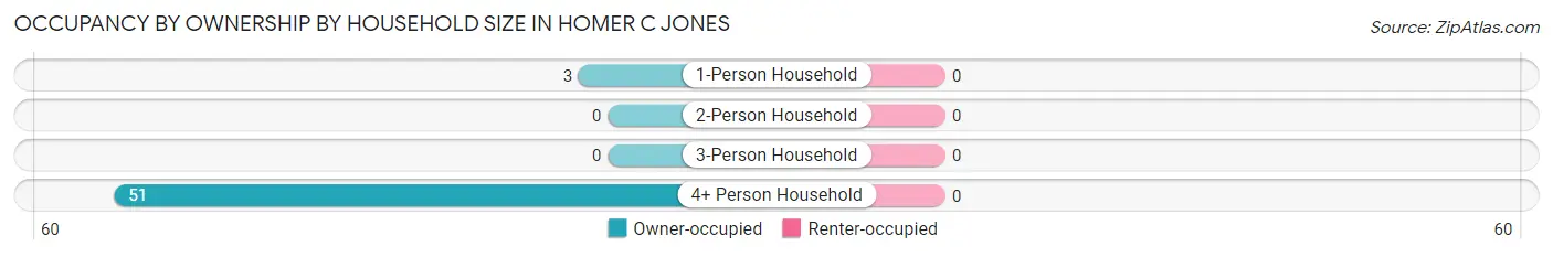 Occupancy by Ownership by Household Size in Homer C Jones