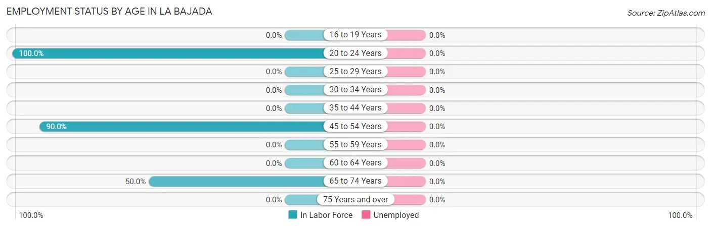 Employment Status by Age in La Bajada