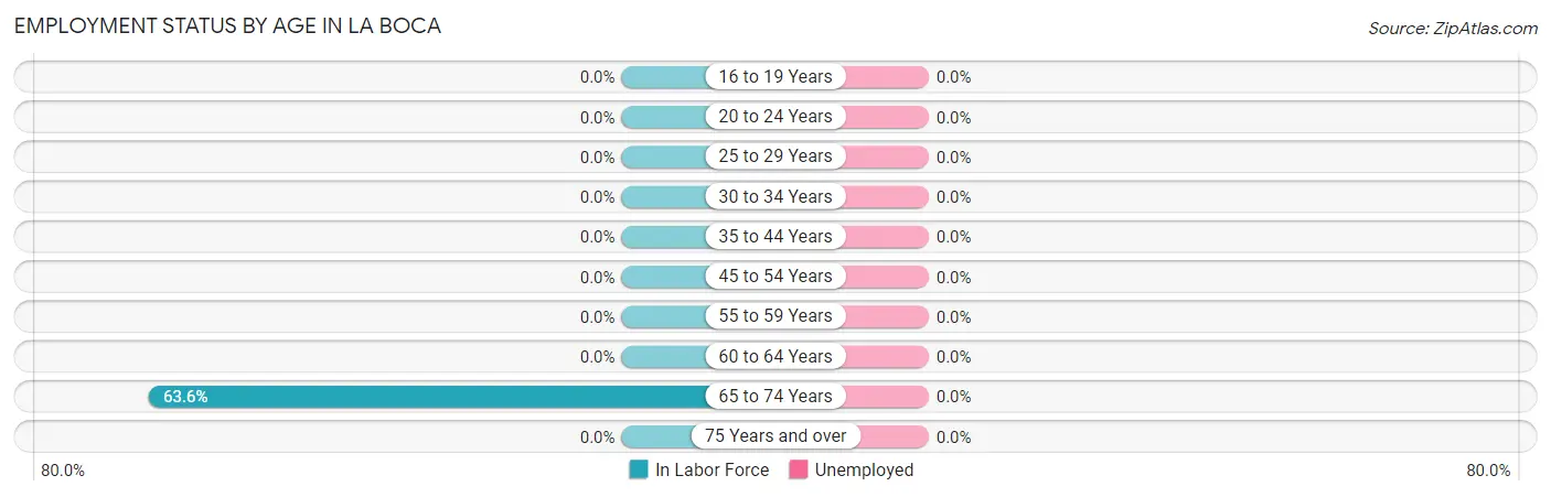 Employment Status by Age in La Boca