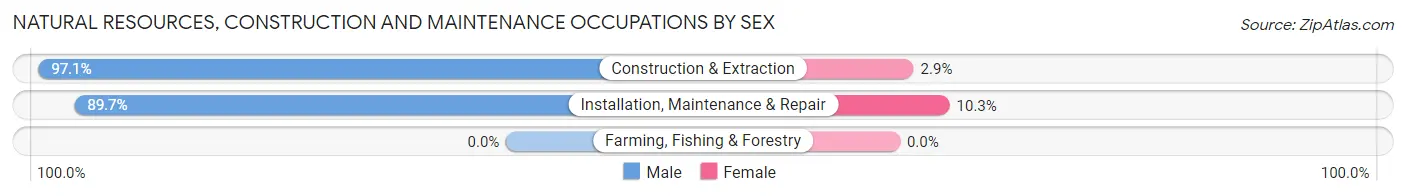 Natural Resources, Construction and Maintenance Occupations by Sex in La Mesilla