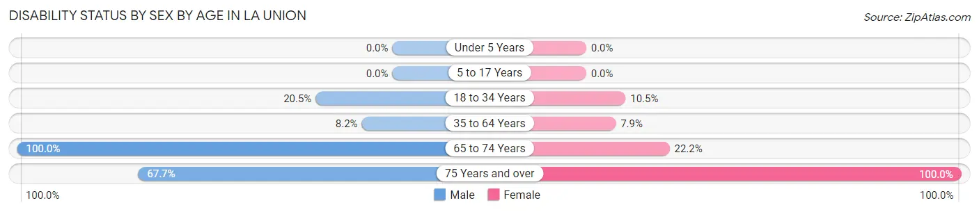 Disability Status by Sex by Age in La Union