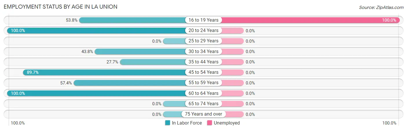 Employment Status by Age in La Union