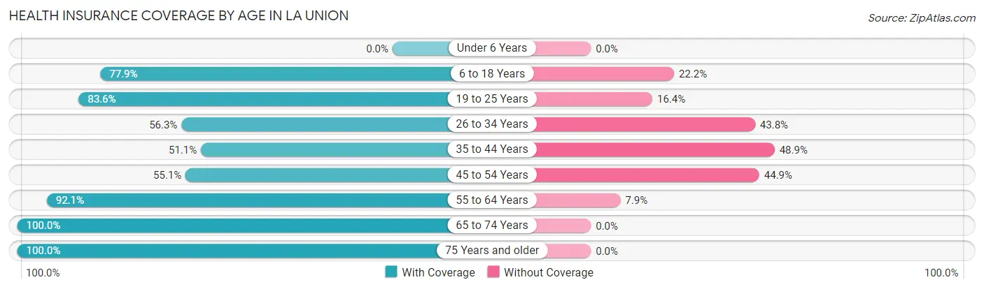Health Insurance Coverage by Age in La Union