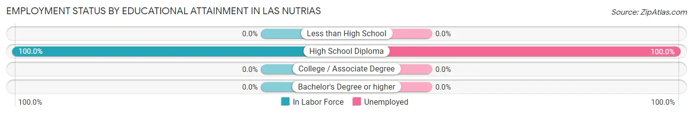 Employment Status by Educational Attainment in Las Nutrias