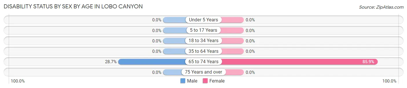 Disability Status by Sex by Age in Lobo Canyon