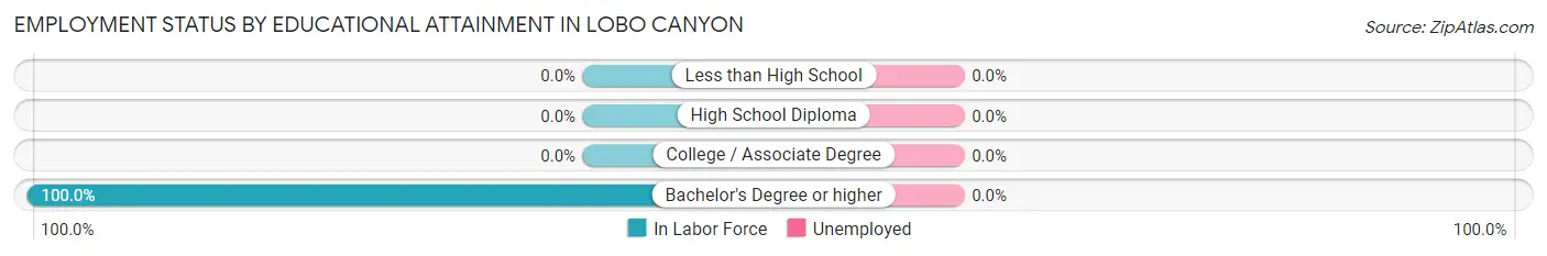Employment Status by Educational Attainment in Lobo Canyon
