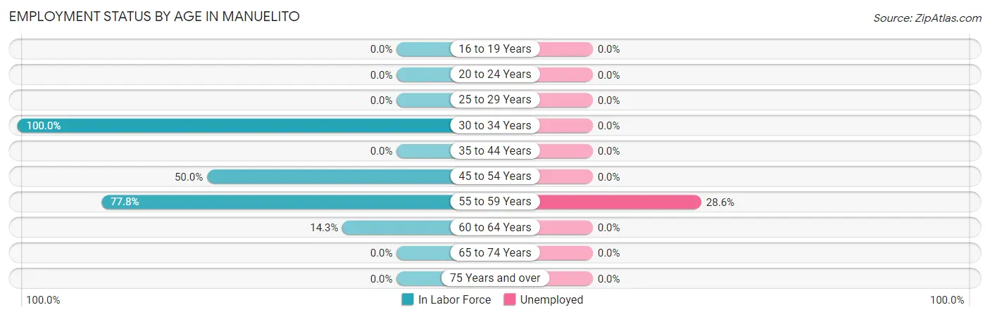 Employment Status by Age in Manuelito