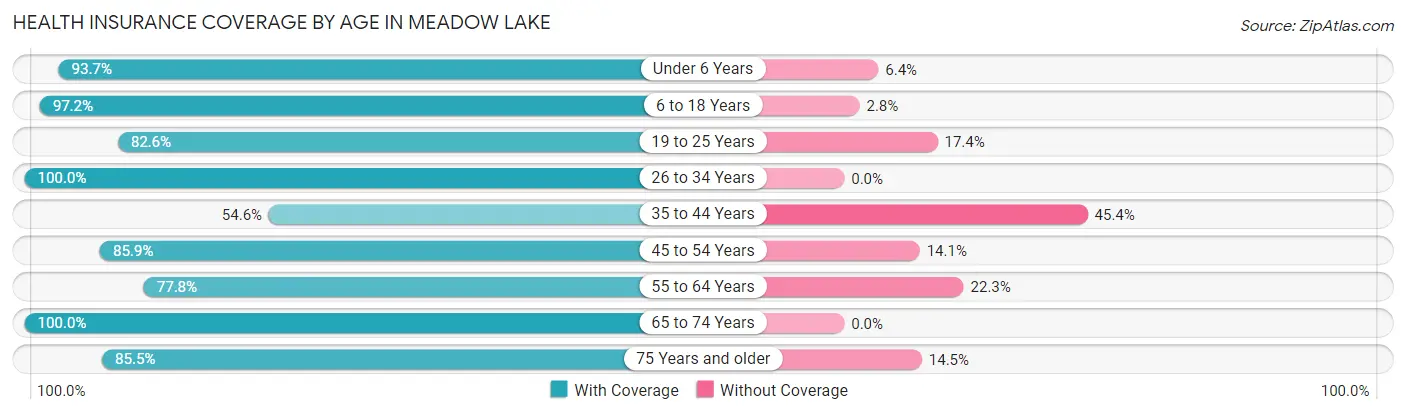 Health Insurance Coverage by Age in Meadow Lake