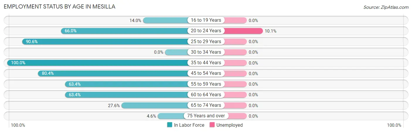 Employment Status by Age in Mesilla